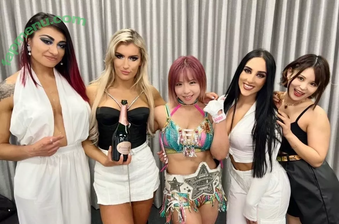 Mina Shirakawa nude photo #1764 (mina_shirakawa)