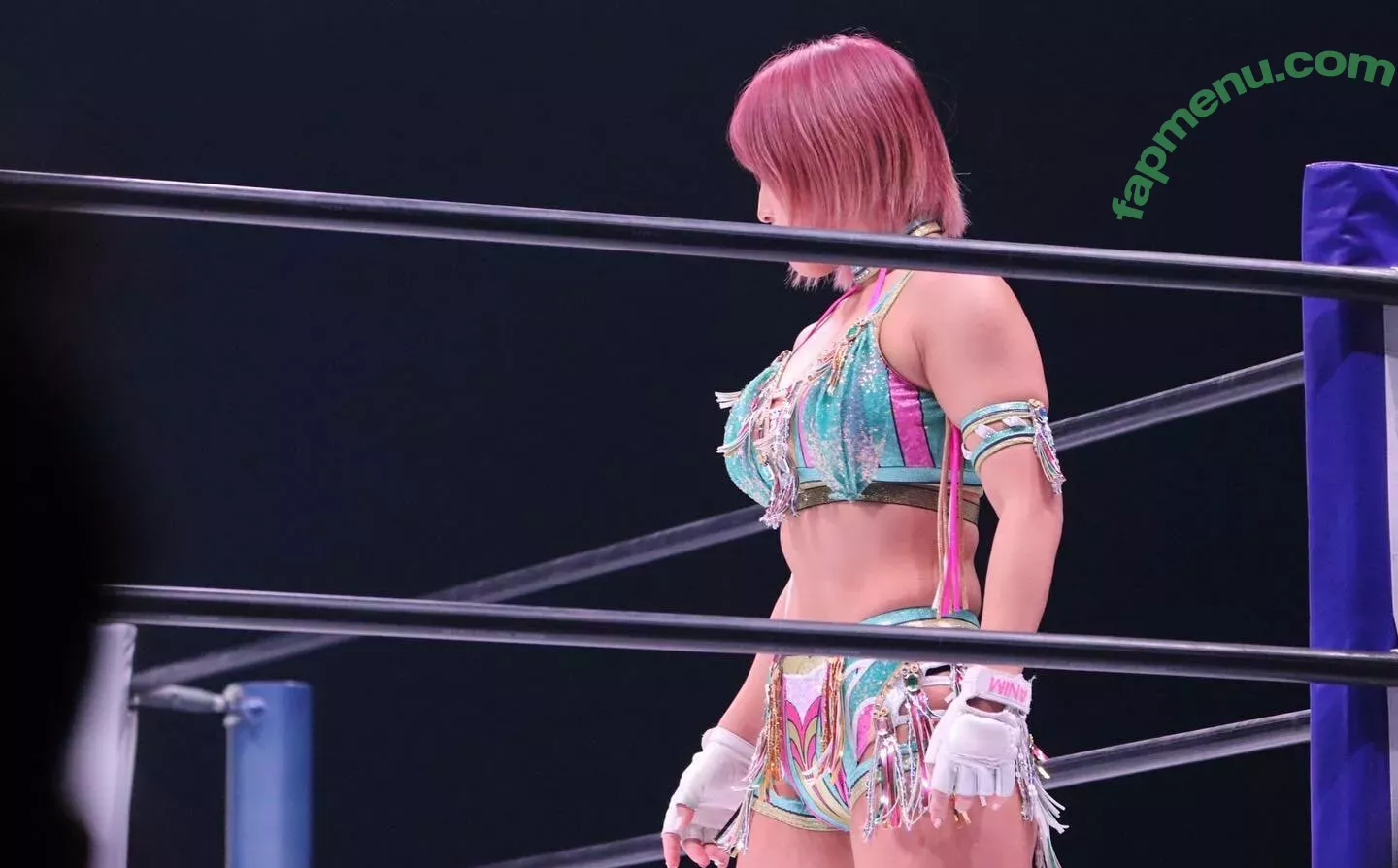 Mina Shirakawa nude photo #1777 (MinaShirakawa / mina_shirakawa / minashirakawadayo)