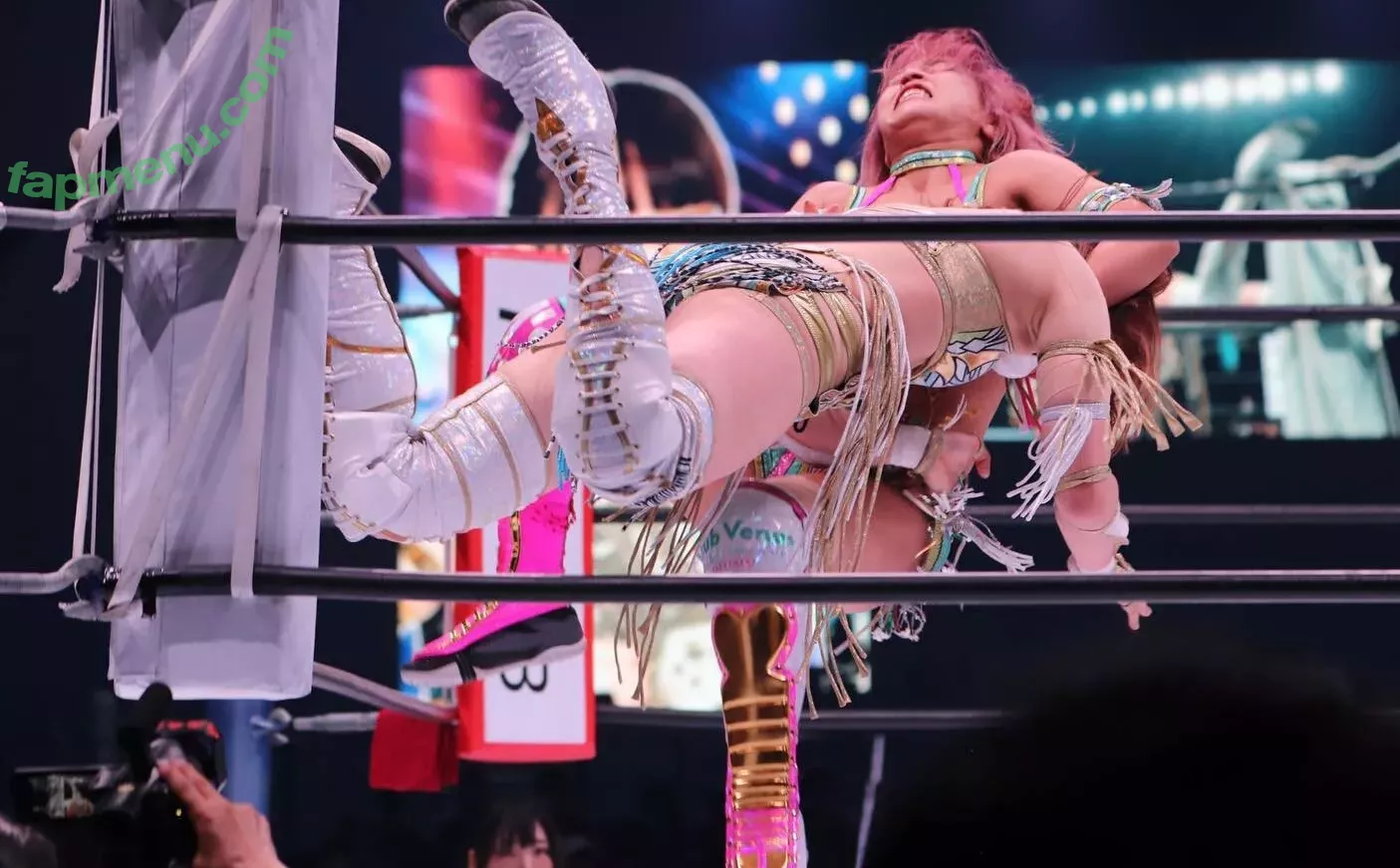 Mina Shirakawa nude photo #1779 (mina_shirakawa)