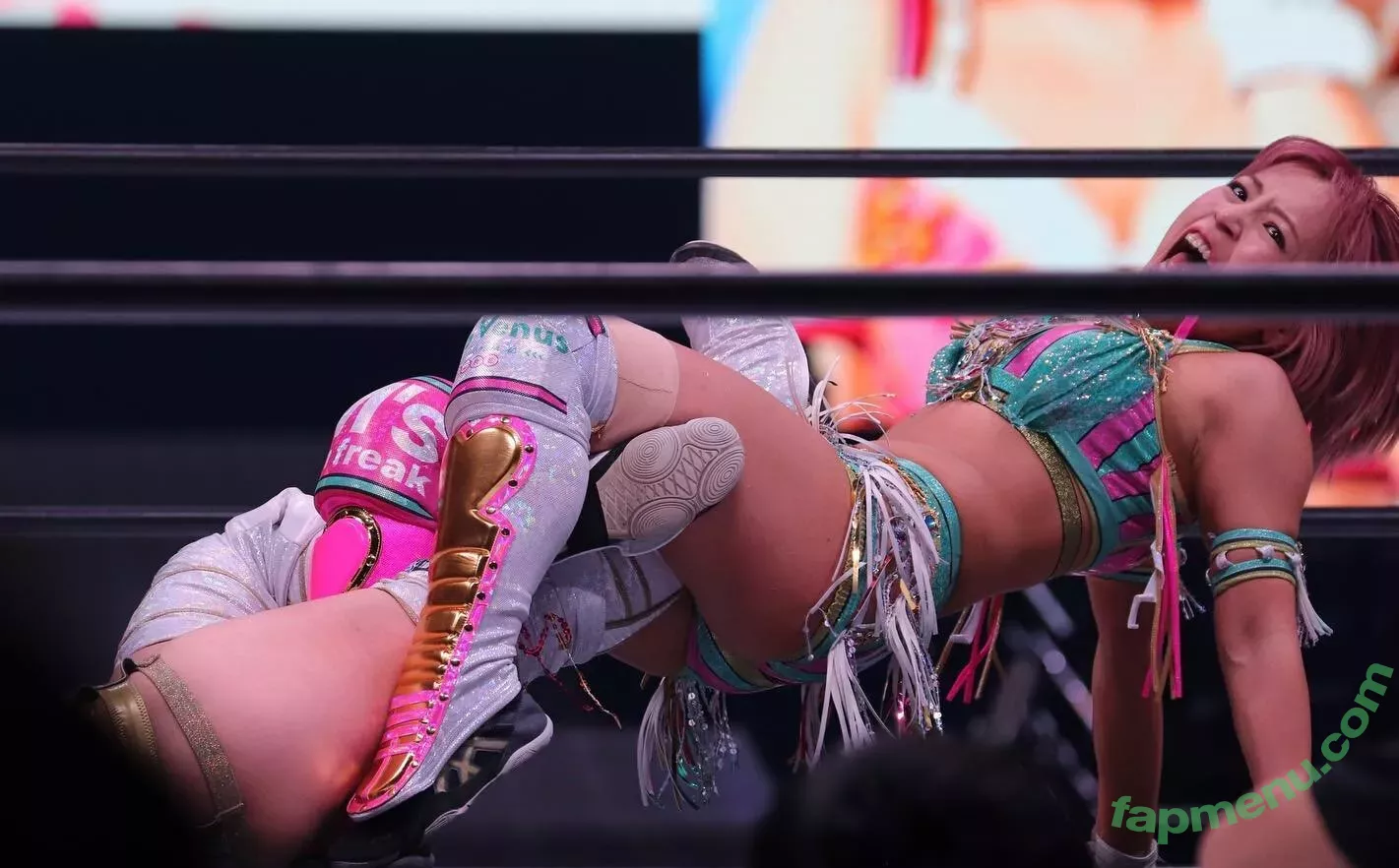 Mina Shirakawa nude photo #1782 (mina_shirakawa)