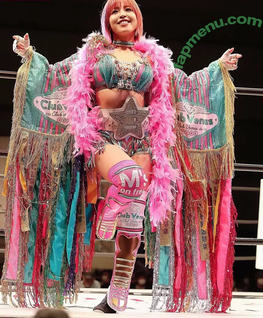 Mina Shirakawa nude photo #1786 (mina_shirakawa)