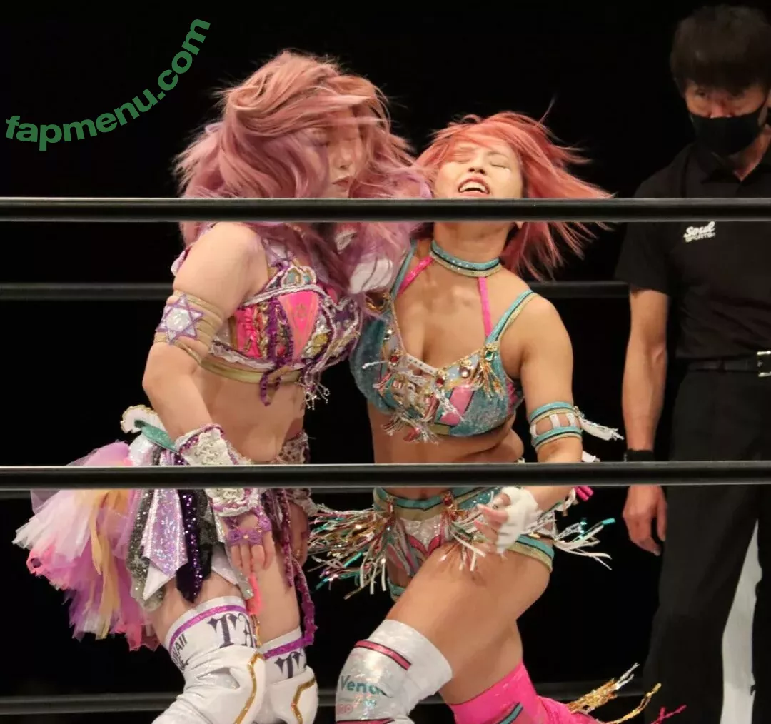 Mina Shirakawa nude photo #1787 (mina_shirakawa)