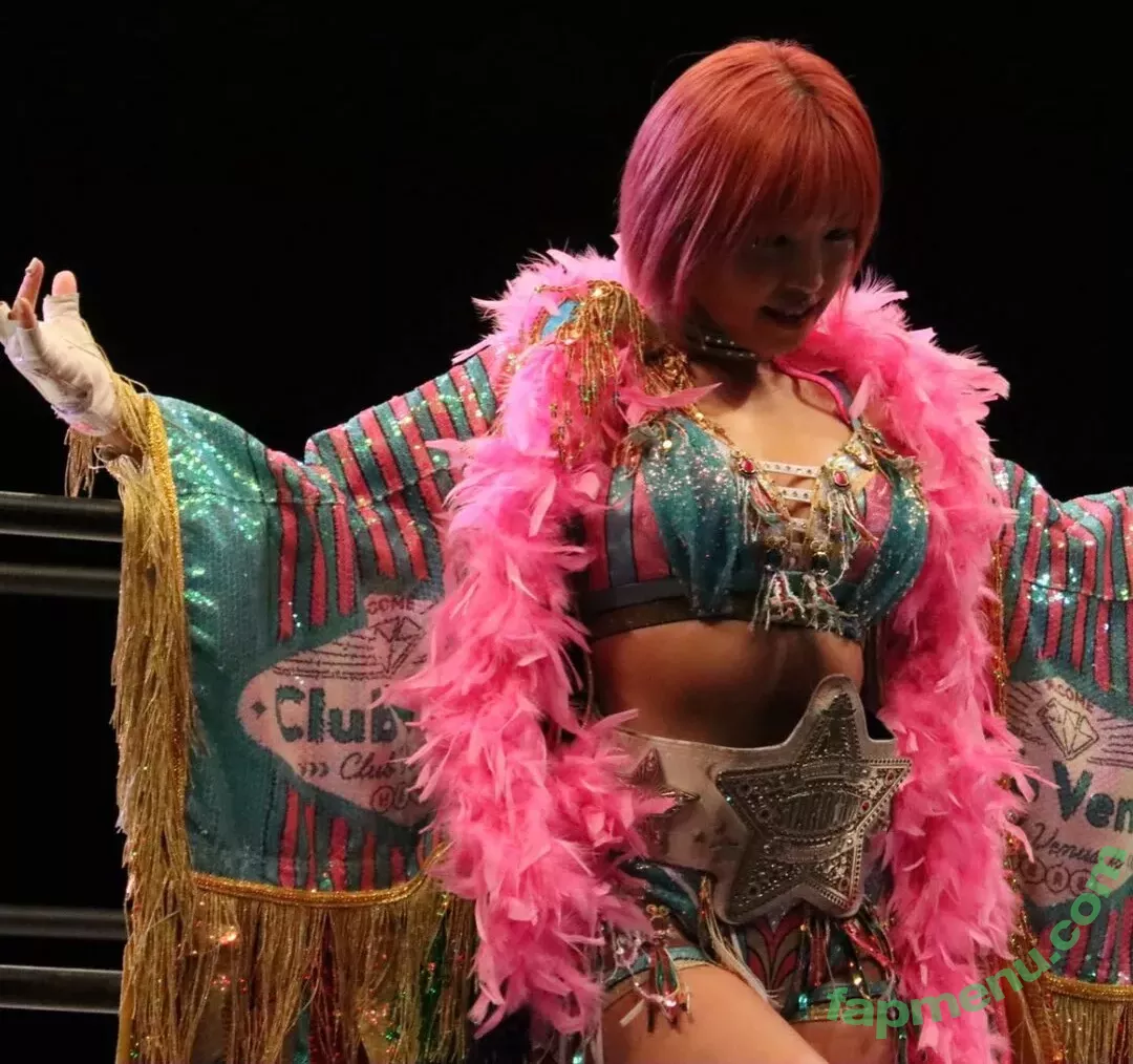 Mina Shirakawa nude photo #1789 (mina_shirakawa)