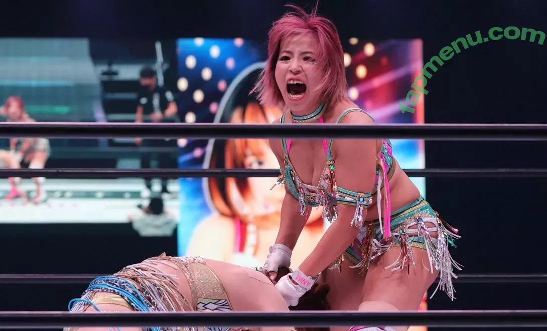 Mina Shirakawa nude photo #1790 (mina_shirakawa)