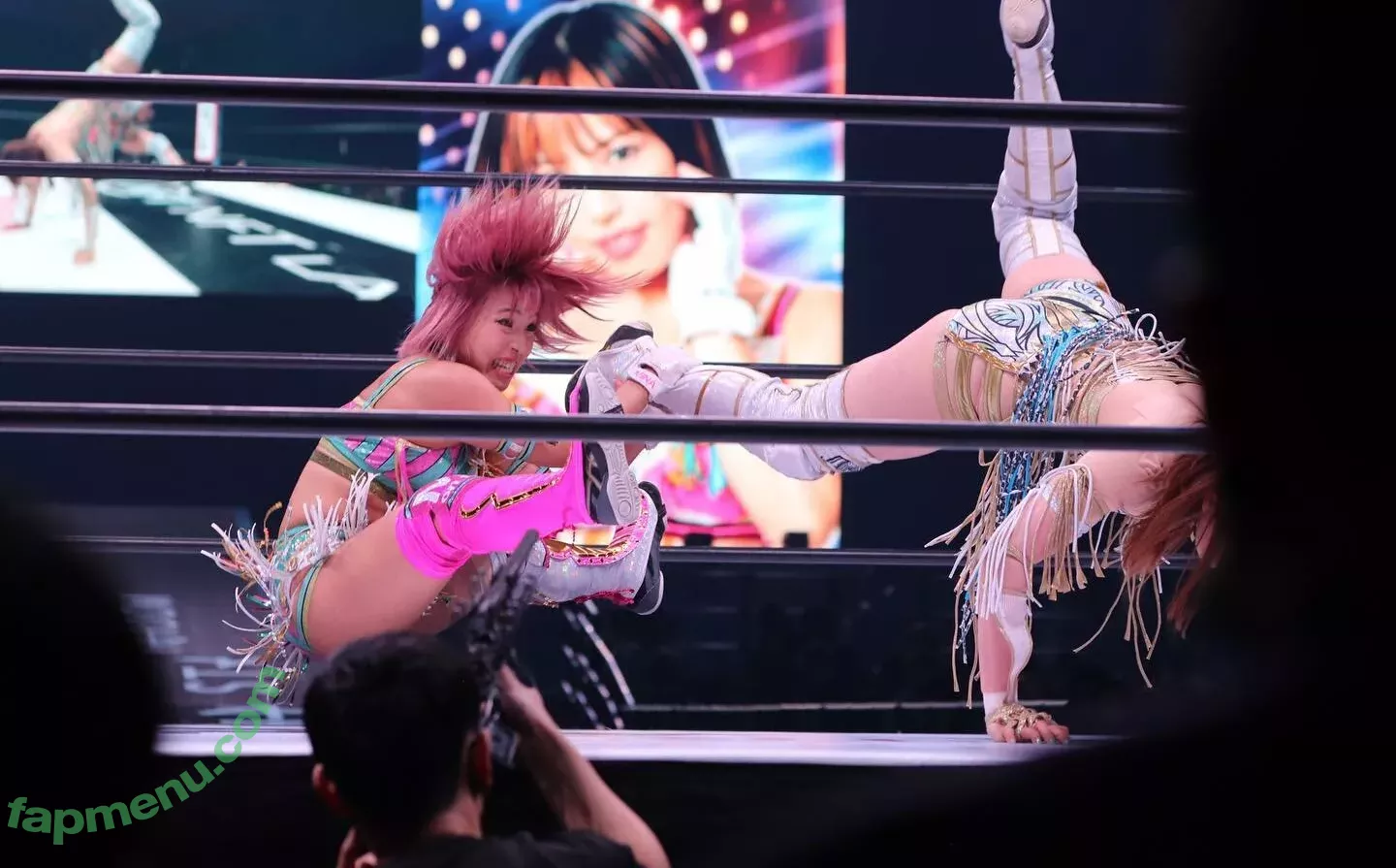 Mina Shirakawa nude photo #1791 (mina_shirakawa)