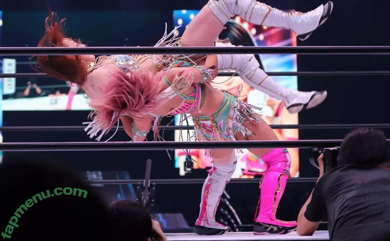 Mina Shirakawa nude photo #1792 (mina_shirakawa)