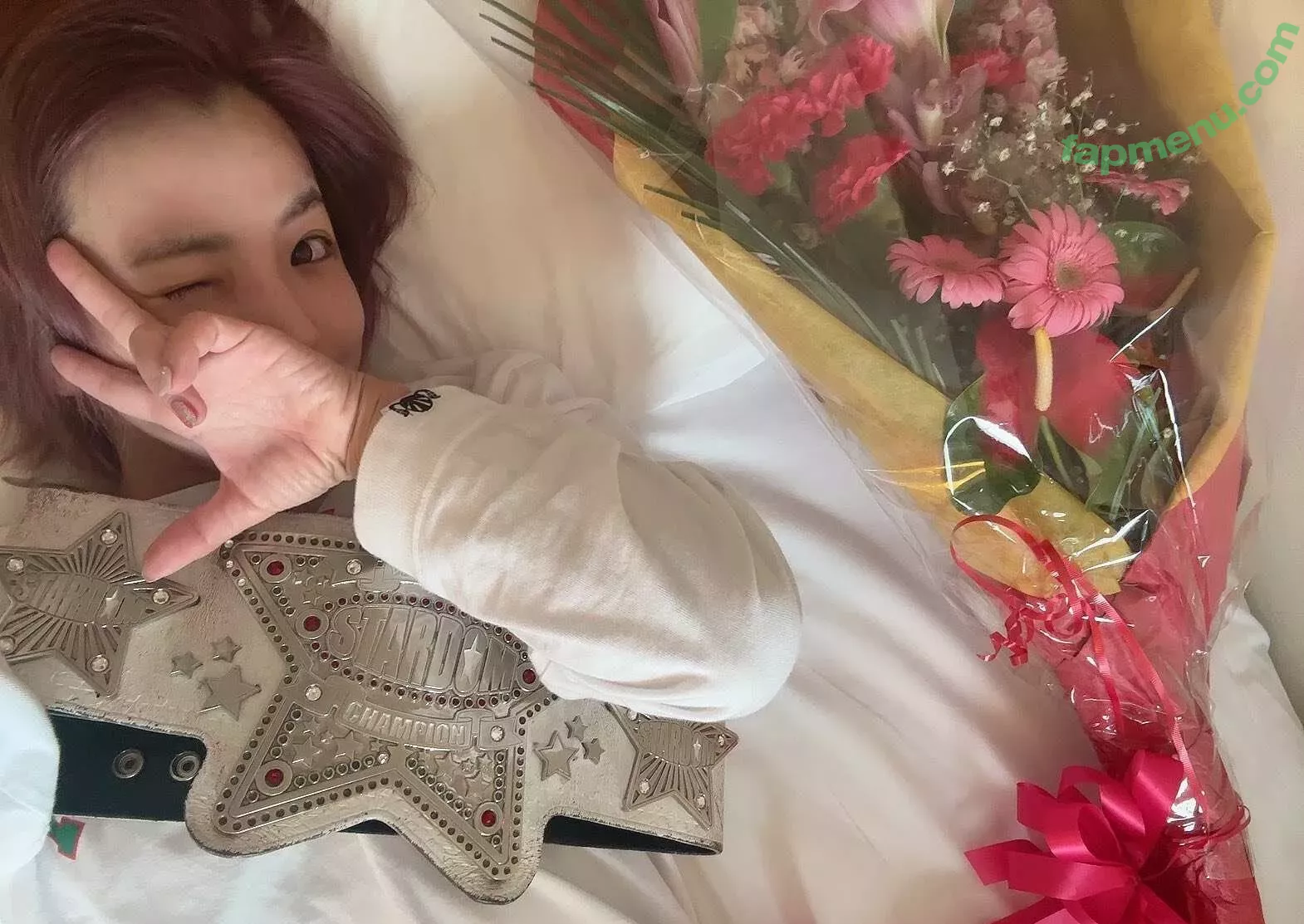 Mina Shirakawa nude photo #1793 (mina_shirakawa)