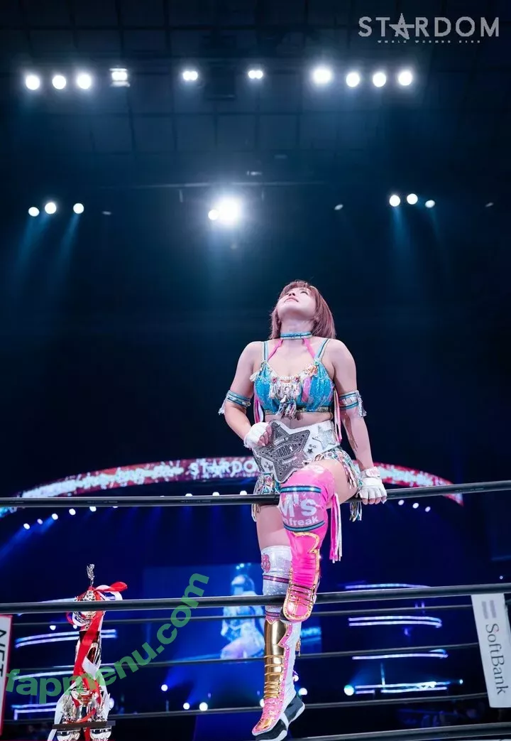 Mina Shirakawa nude photo #1797 (mina_shirakawa)