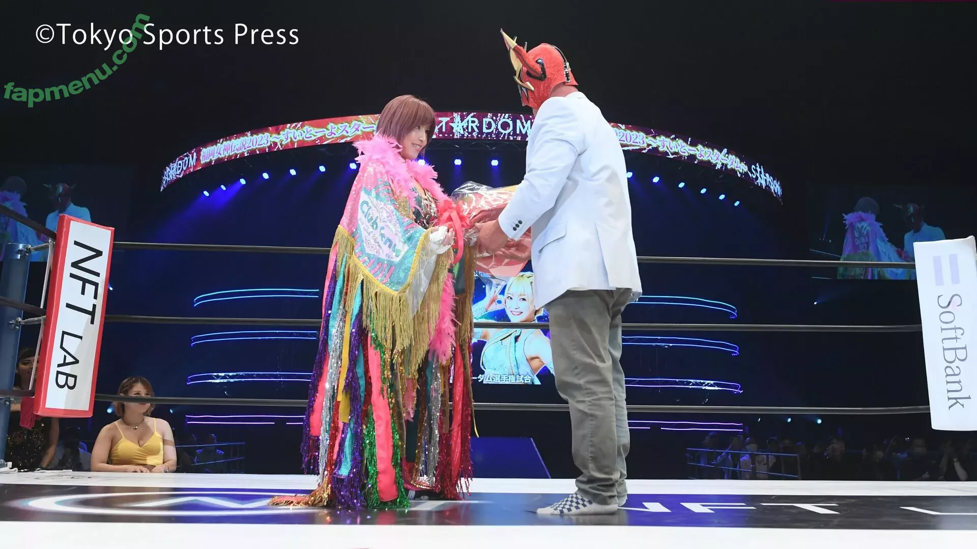 Mina Shirakawa nude photo #1801 (mina_shirakawa)