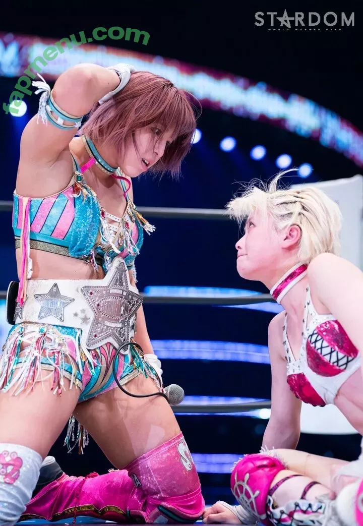 Mina Shirakawa nude photo #1802 (mina_shirakawa)