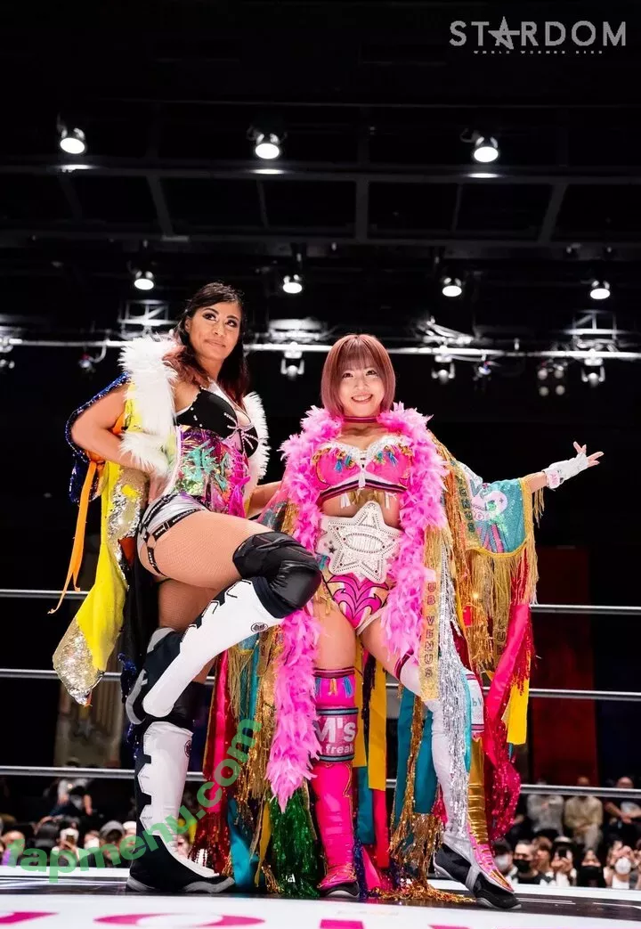 Mina Shirakawa nude photo #1805 (mina_shirakawa)