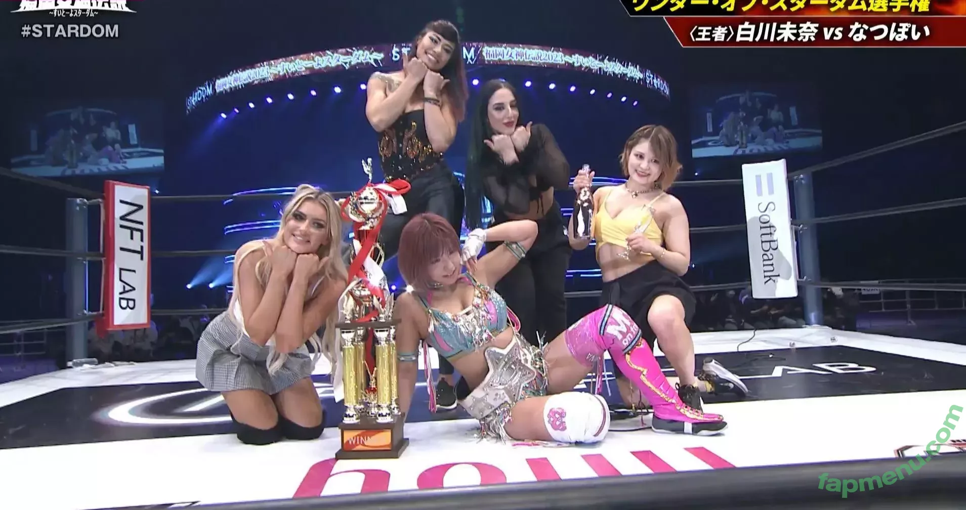 Mina Shirakawa nude photo #1810 (mina_shirakawa)