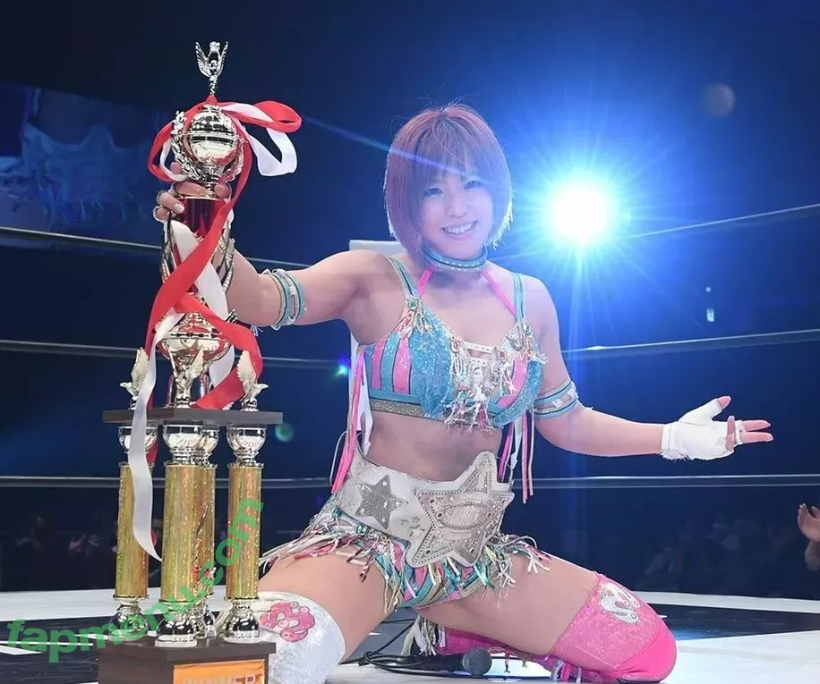 Mina Shirakawa nude photo #1811 (mina_shirakawa)