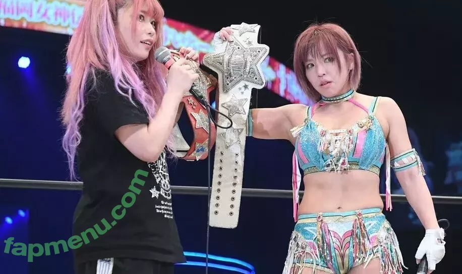 Mina Shirakawa nude photo #1812 (mina_shirakawa)