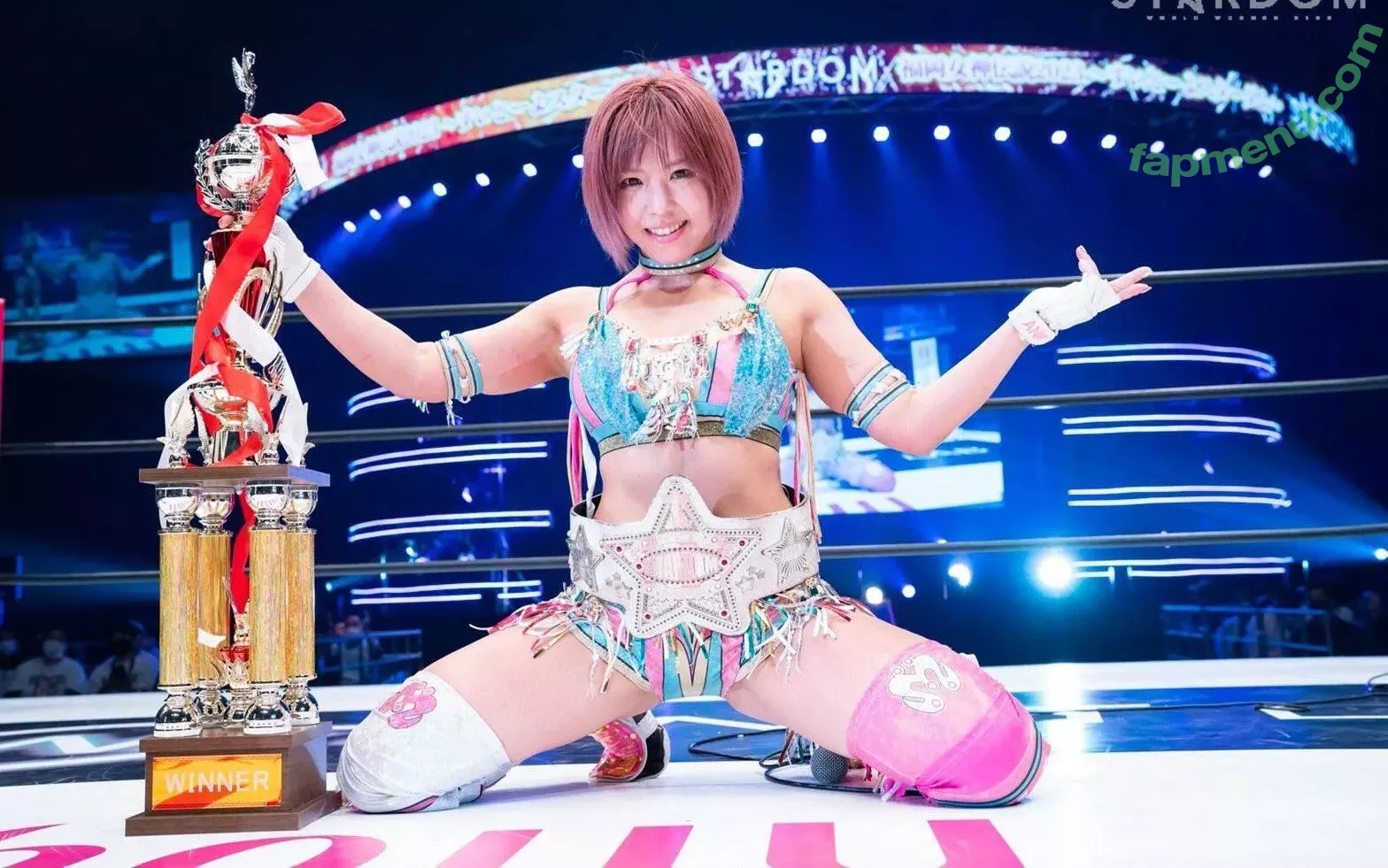 Mina Shirakawa nude photo #1816 (mina_shirakawa)