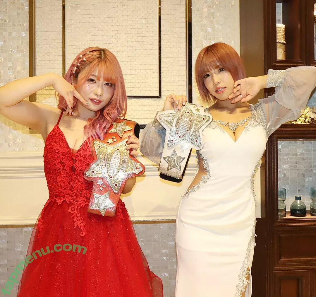 Mina Shirakawa nude photo #1825 (mina_shirakawa)