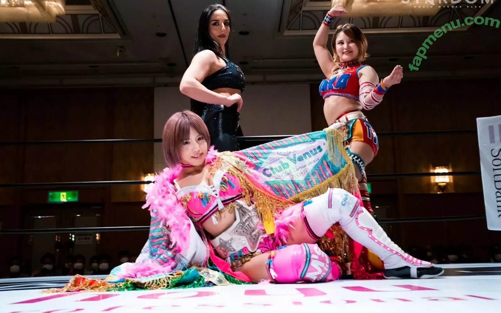 Mina Shirakawa nude photo #1833 (mina_shirakawa)