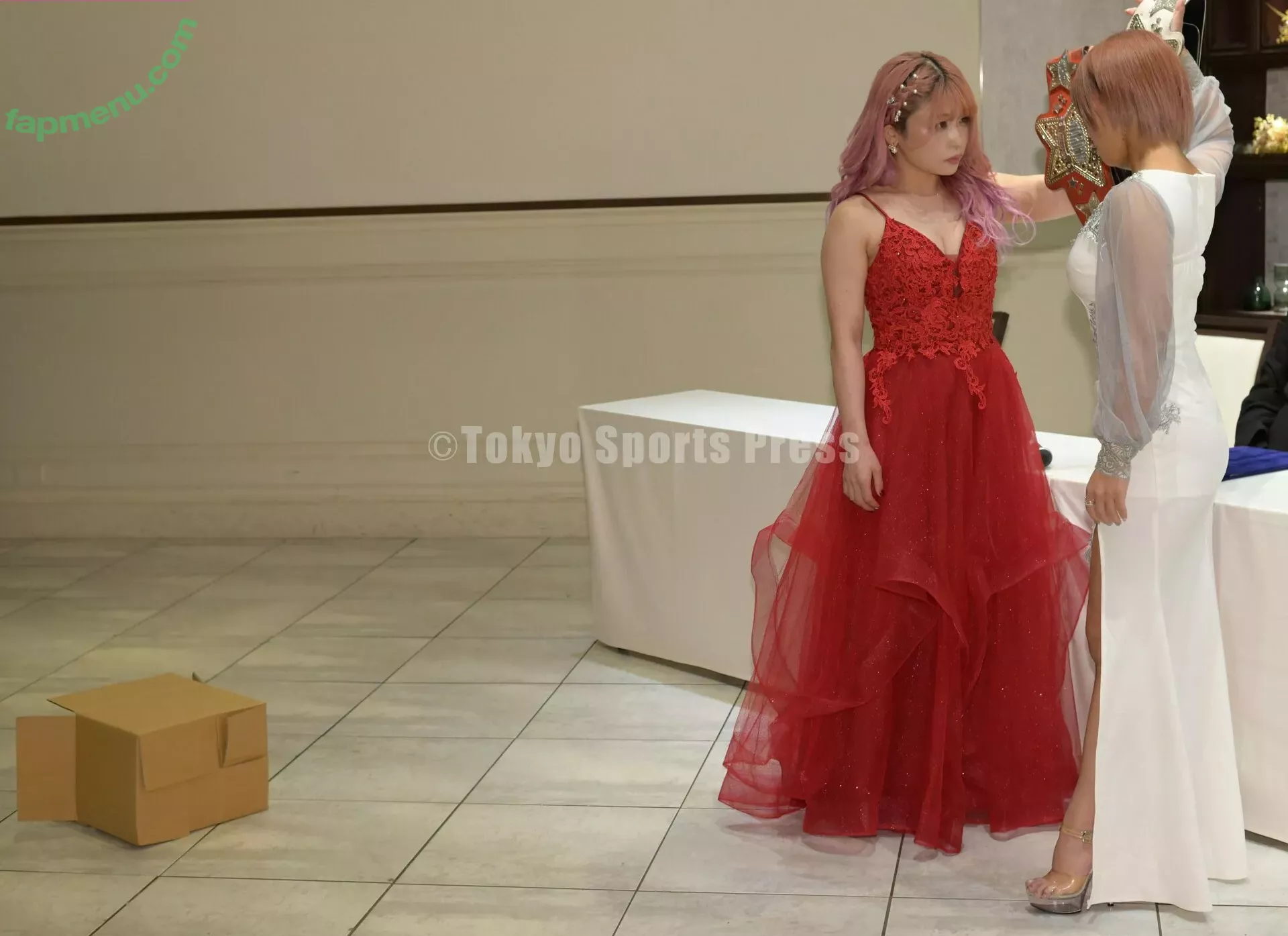 Mina Shirakawa nude photo #1841 (mina_shirakawa)