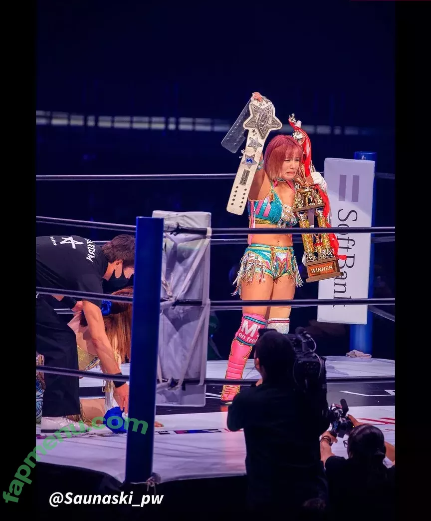 Mina Shirakawa nude photo #1842 (mina_shirakawa)