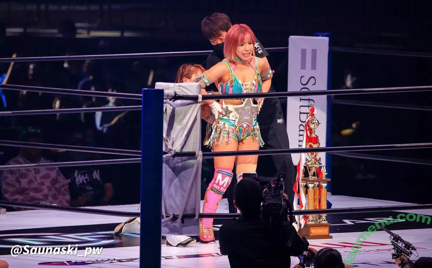 Mina Shirakawa nude photo #1843 (mina_shirakawa)