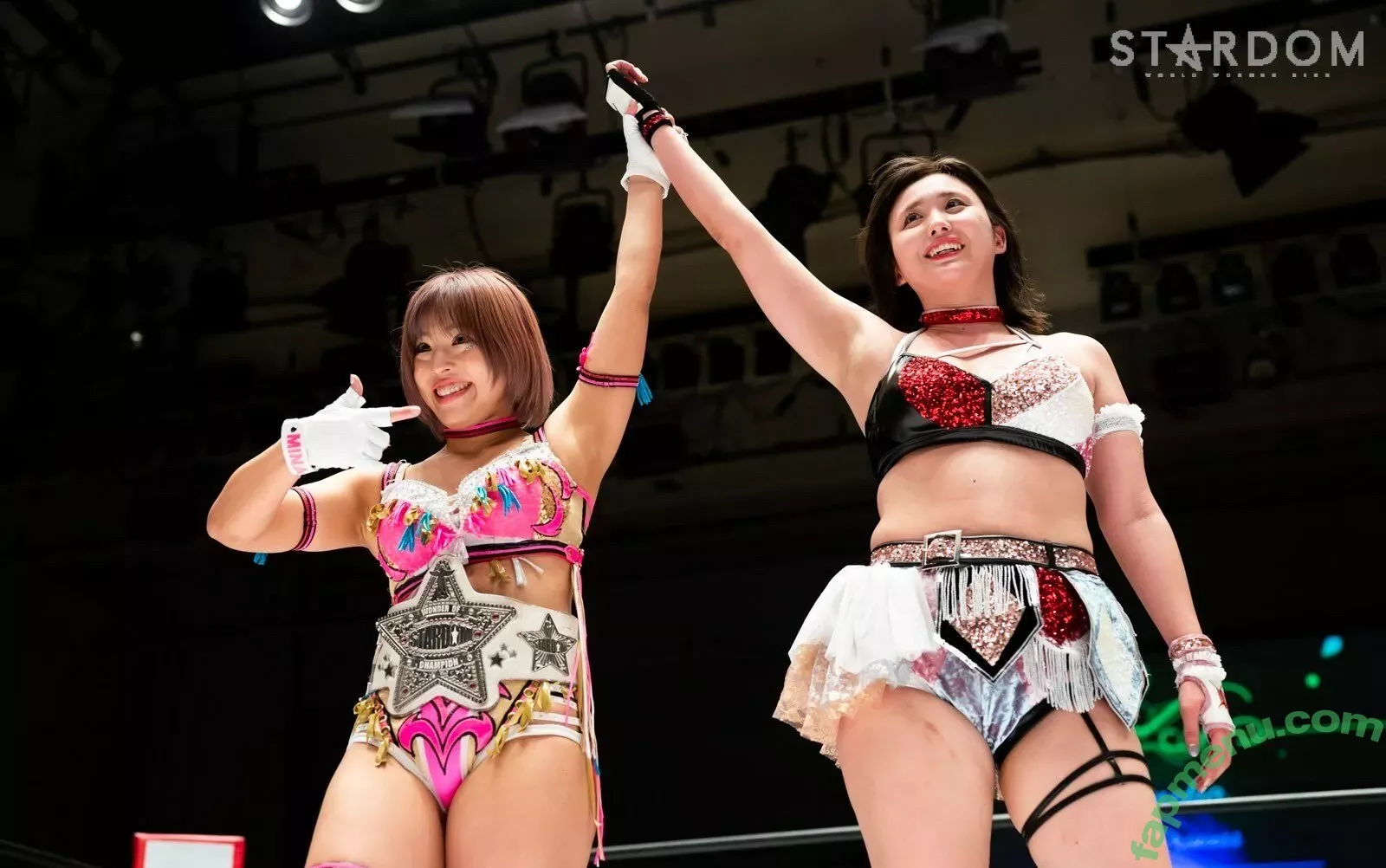 Mina Shirakawa nude photo #1847 (mina_shirakawa)