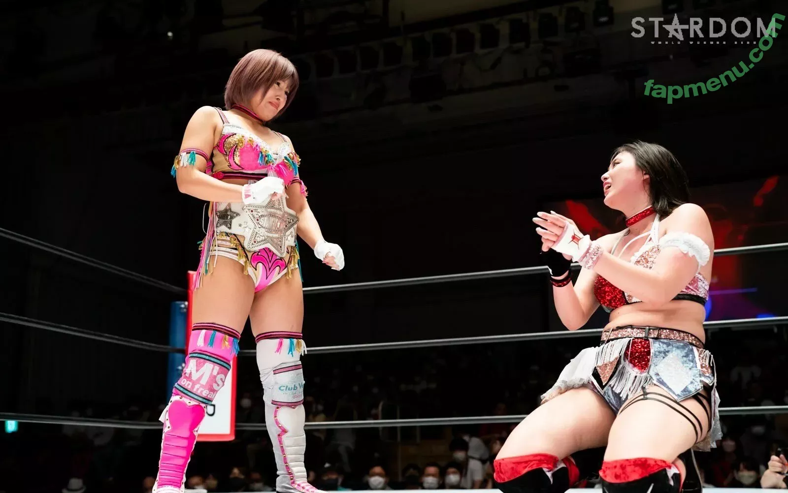 Mina Shirakawa nude photo #1848 (mina_shirakawa)