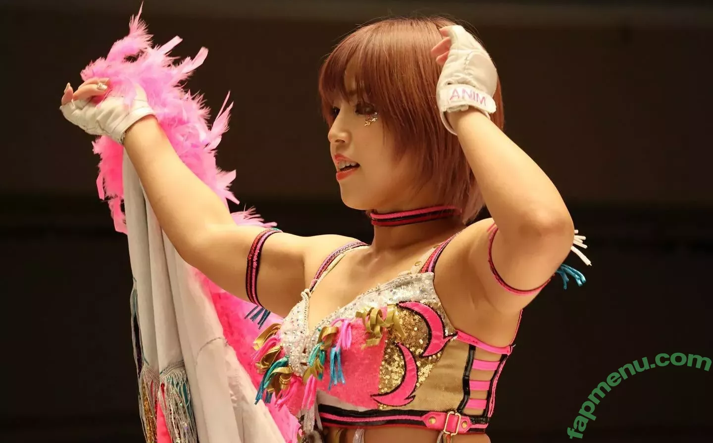 Mina Shirakawa nude photo #1852 (mina_shirakawa)