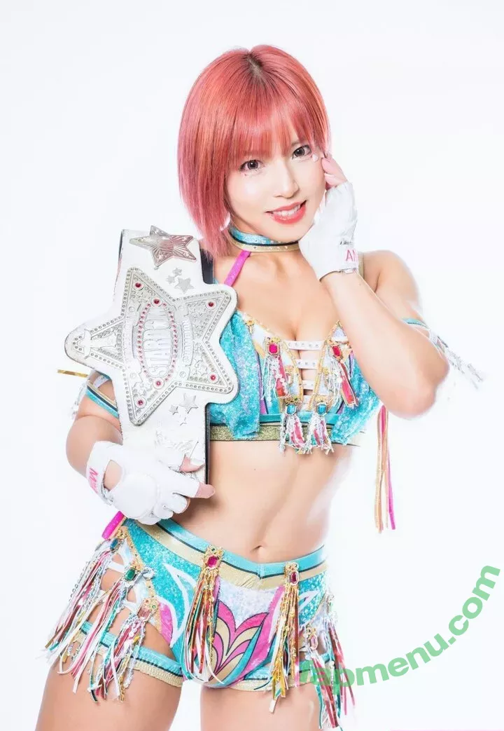 Mina Shirakawa nude photo #1853 (mina_shirakawa)