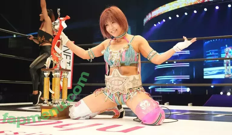 Mina Shirakawa nude photo #1856 (mina_shirakawa)