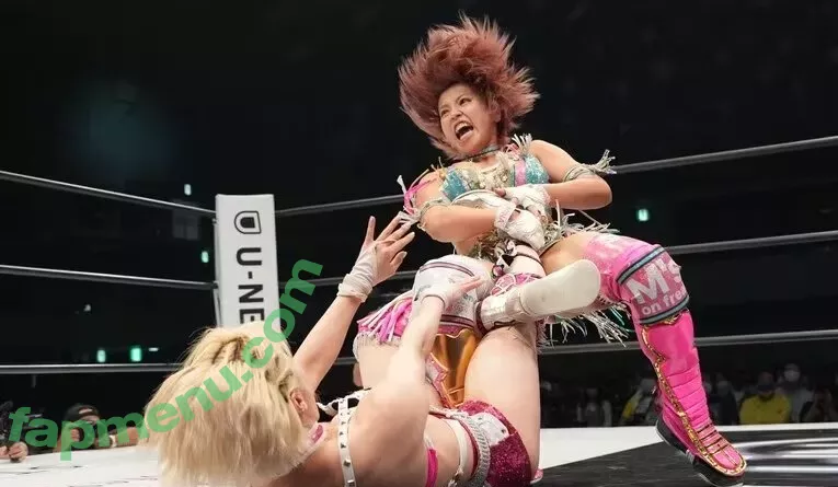 Mina Shirakawa nude photo #1859 (mina_shirakawa)