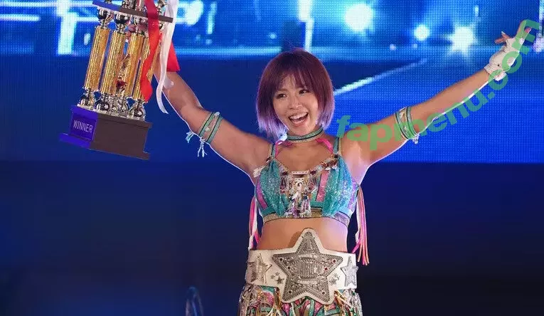 Mina Shirakawa nude photo #1862 (mina_shirakawa)