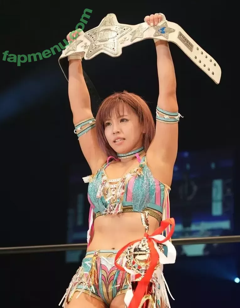 Mina Shirakawa nude photo #1864 (mina_shirakawa)