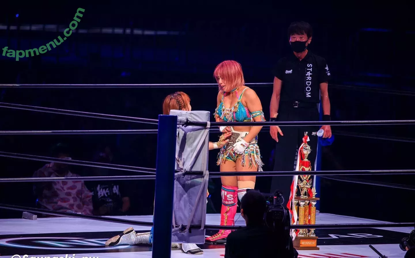 Mina Shirakawa nude photo #1869 (mina_shirakawa)