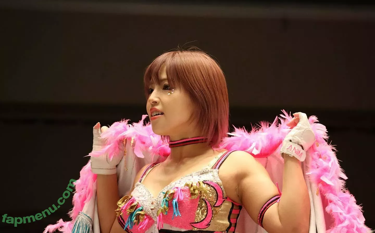 Mina Shirakawa nude photo #1870 (mina_shirakawa)