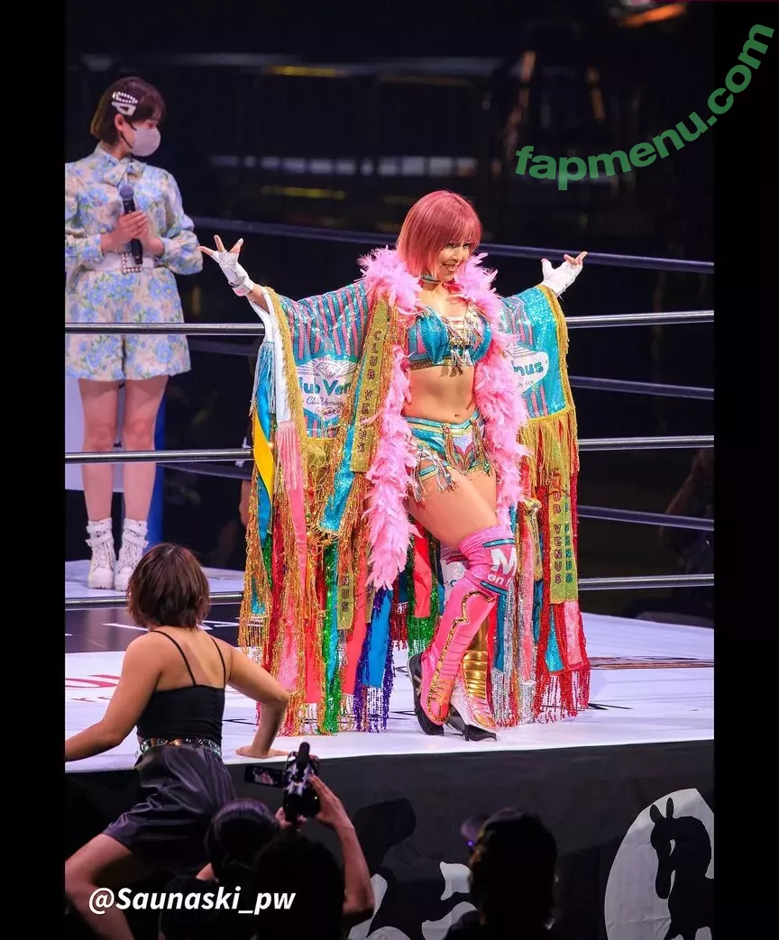 Mina Shirakawa nude photo #1871 (mina_shirakawa)