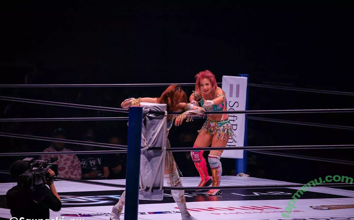 Mina Shirakawa nude photo #1872 (mina_shirakawa)