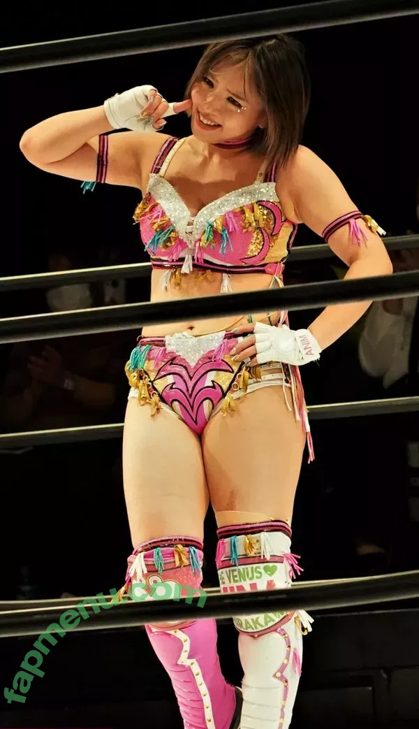 Mina Shirakawa nude photo #1894 (mina_shirakawa)