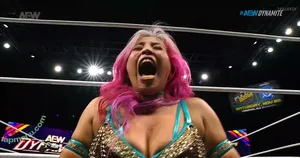 Mina Shirakawa / mina_shirakawa nude photo #2840