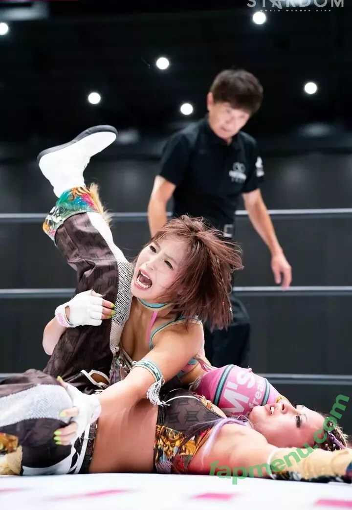 Mina Shirakawa nude photo #2179 (mina_shirakawa)