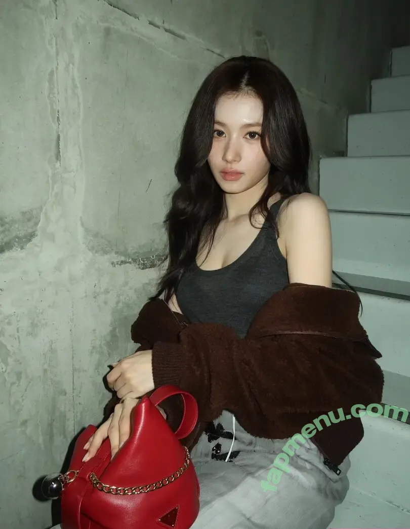 Minatozaki Sana (TWICE) nude photo #0029 (m.by__sana)