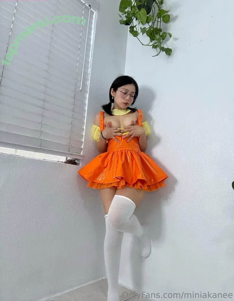 miniakanee nude photo #0035 (miniakanee)
