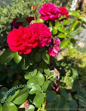 Minikrisss / Minikriss nude photo #0014