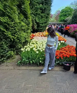 Mira 