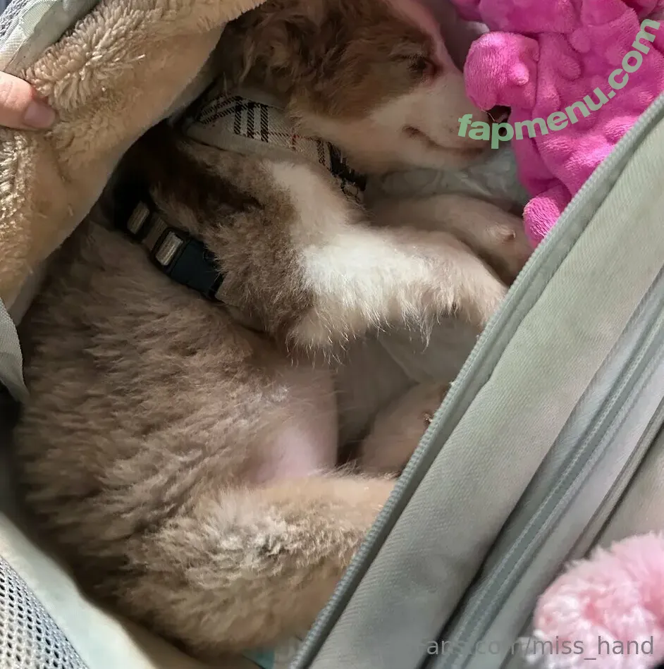 miss_hand nude photo #0009 (misshand)