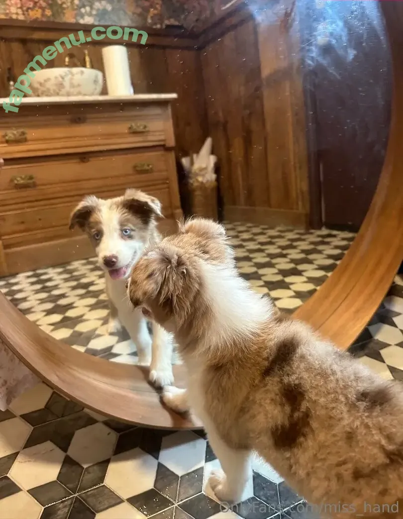 miss_hand nude photo #0016 (misshand)