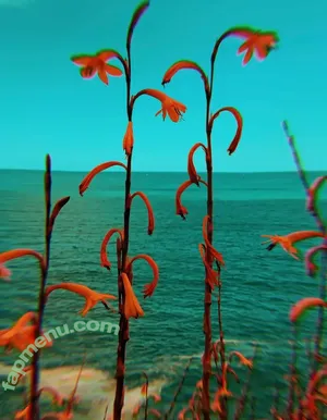 miss_loveheart_art / miss_love_heart_art nude photo #0040