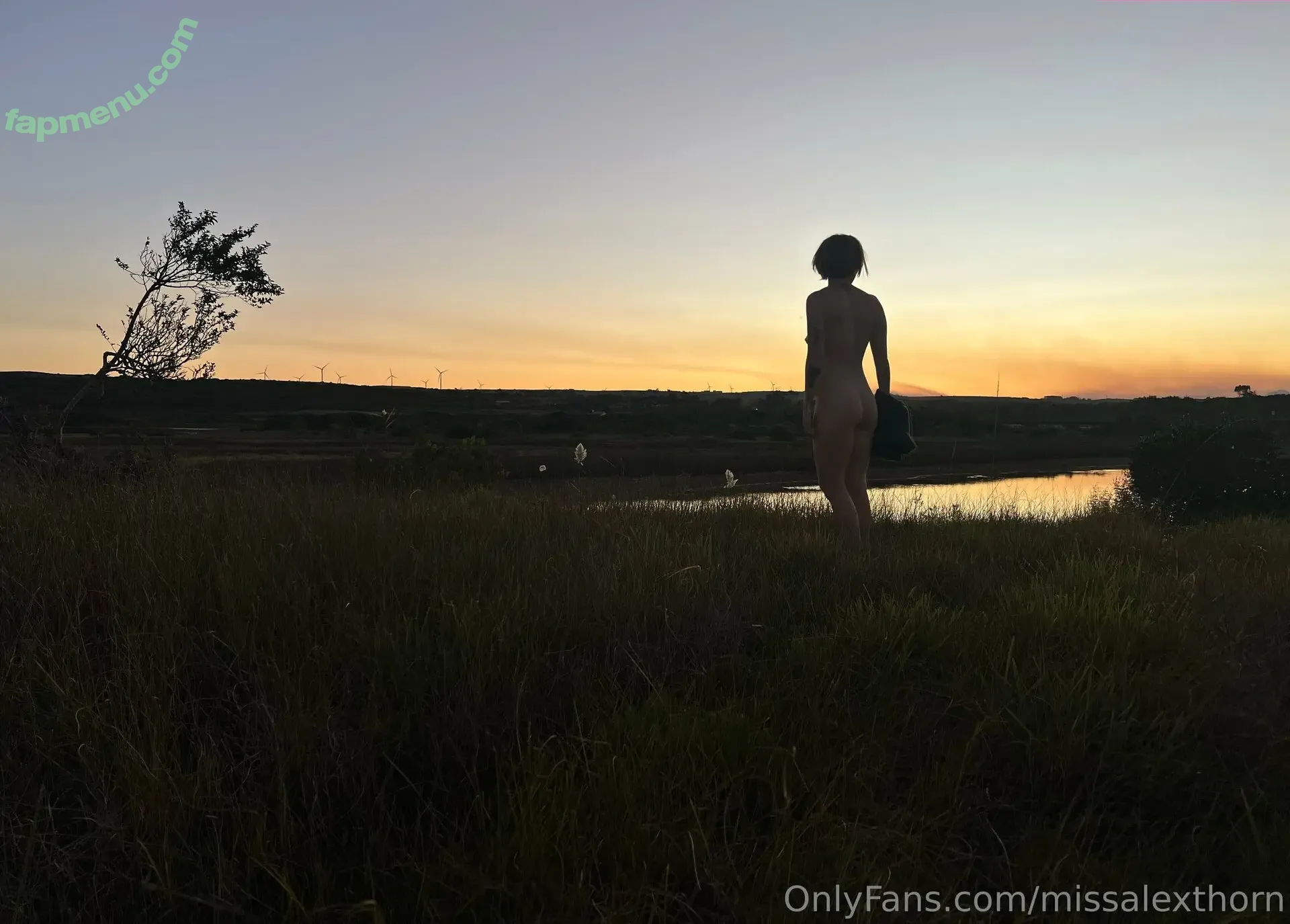 missalexthorn nude photo #0358 (missalexthorn)