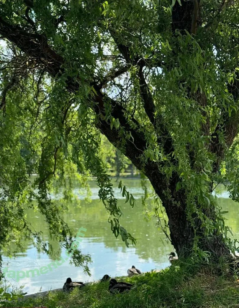 MissKaylaB nude photo #0096 (MissKaylaB)