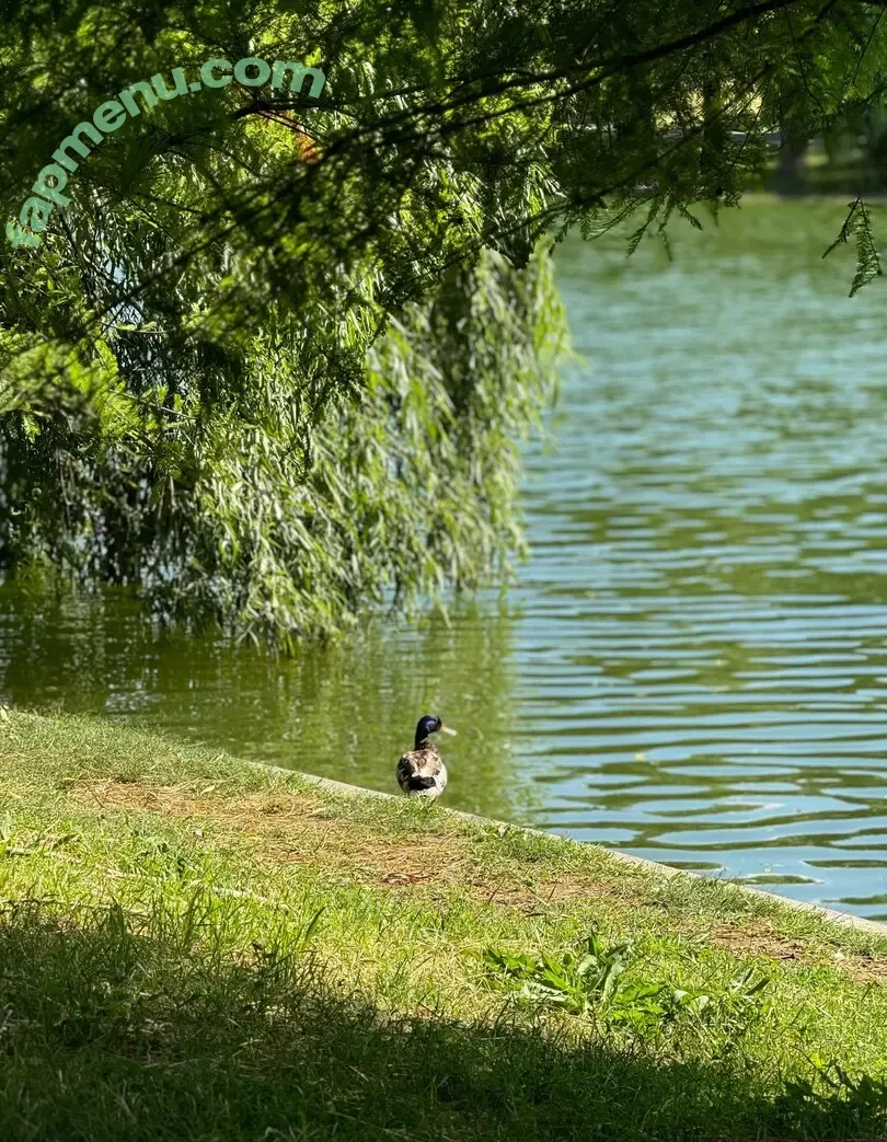 MissKaylaB nude photo #0097 (MissKaylaB)