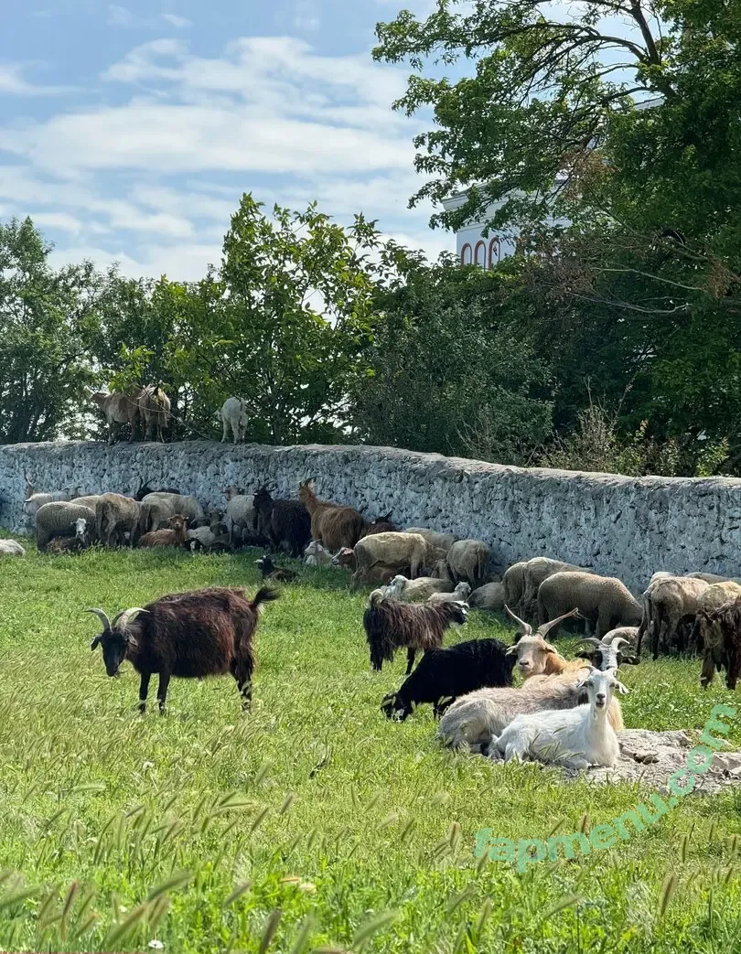 MissKaylaB nude photo #0098 (MissKaylaB)